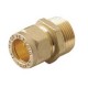 RACOR COMPRESION MACHO 14x1/2"