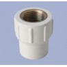 TERMINAL RED.CPVC-LATON RM 3/4"