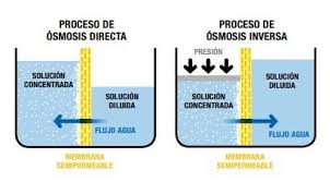 Gráfico sobre la ósmosis