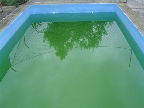 Agua de piscina turbia